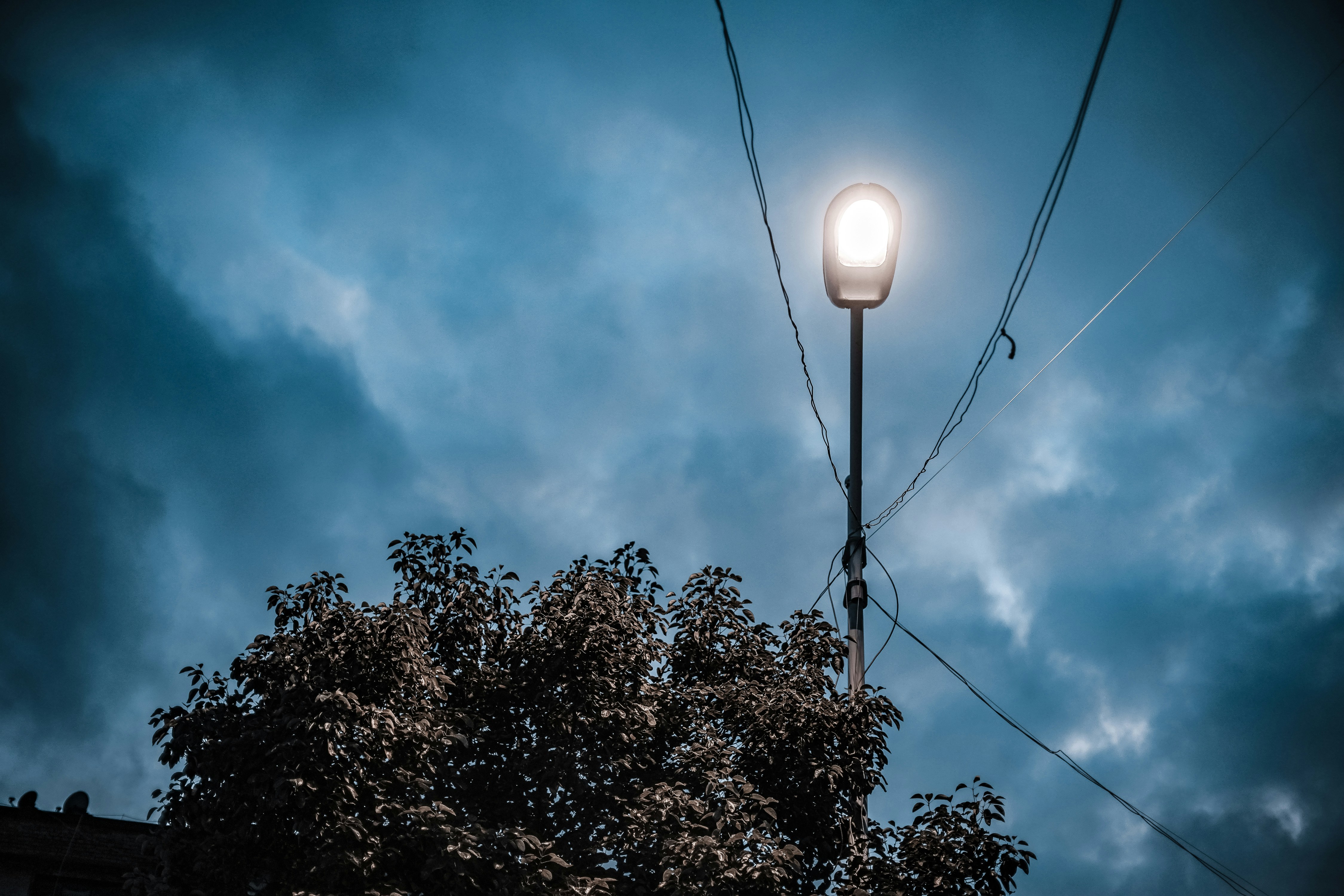 Photo by radsupercell