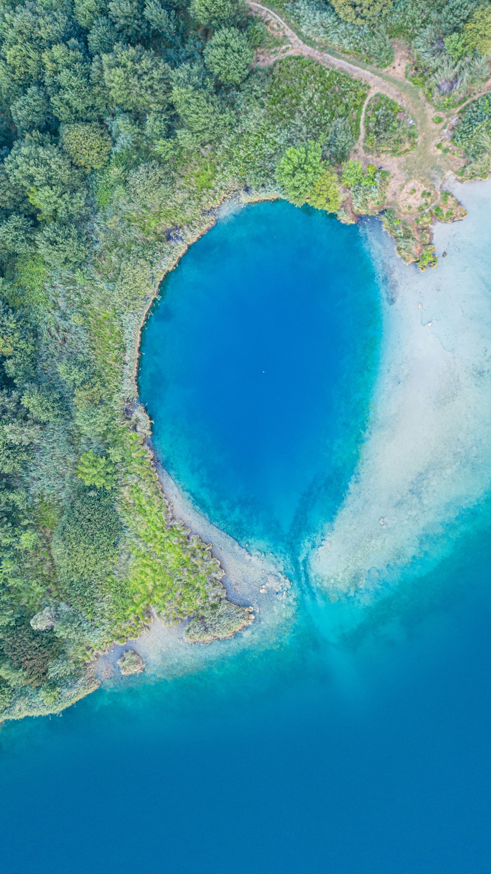 aerial view of green trees and blue ocean water during daytime