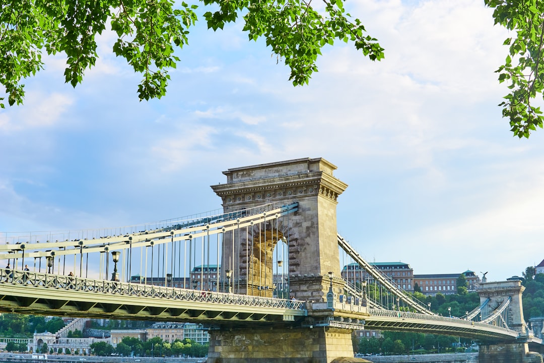 brown concrete bridge under blue sky during daytime