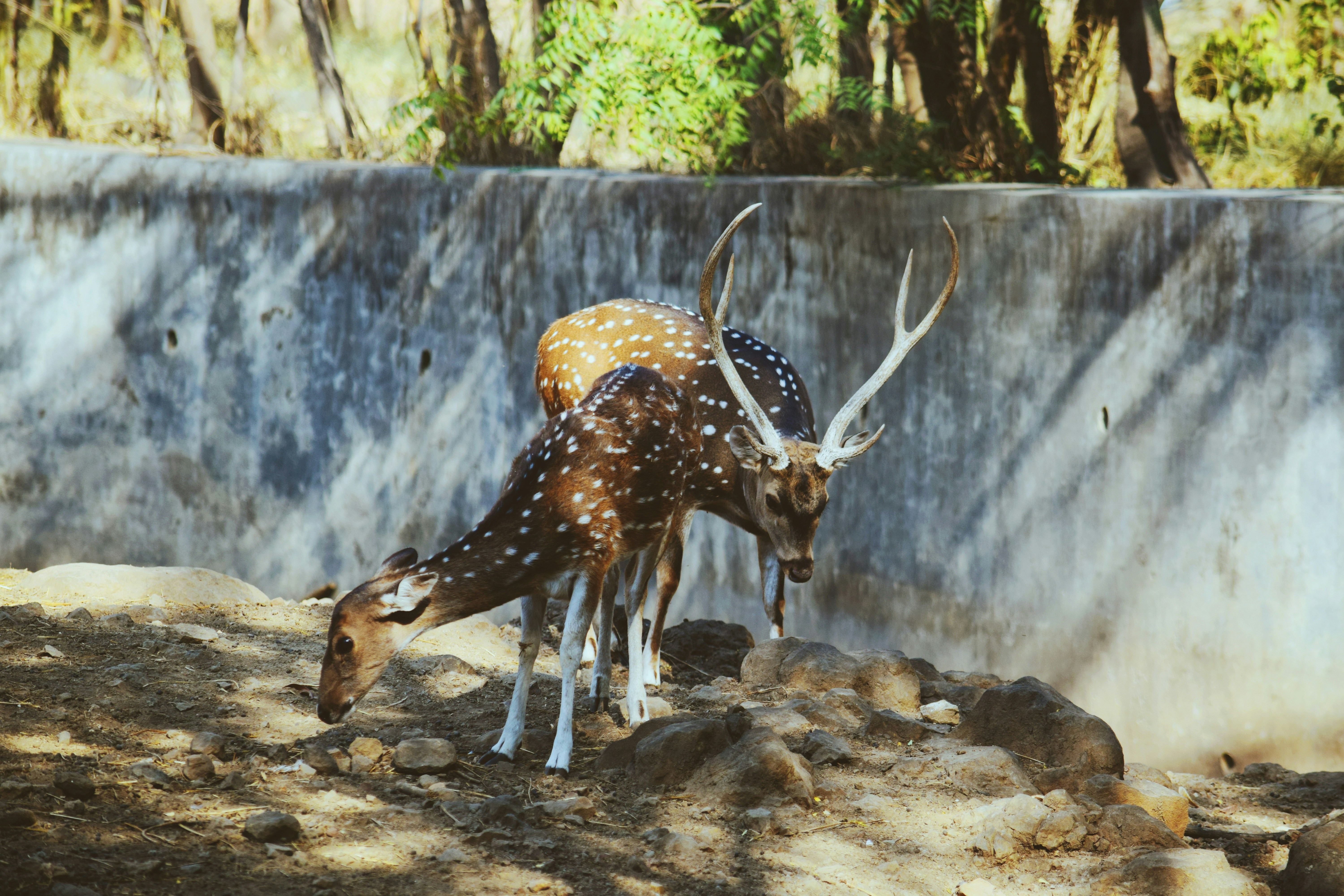 Photo by vairaggopani