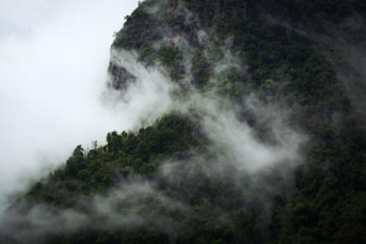 green trees on mountain under white clouds