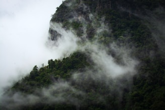 green trees on mountain under white clouds