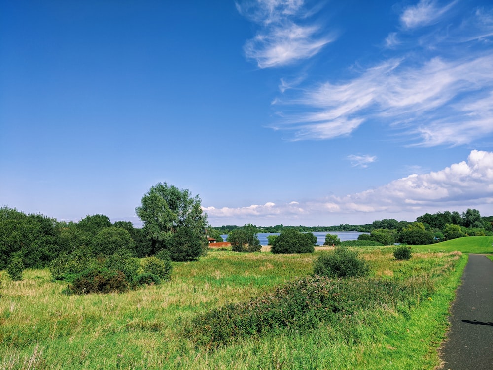 green grass field under blue sky during daytime