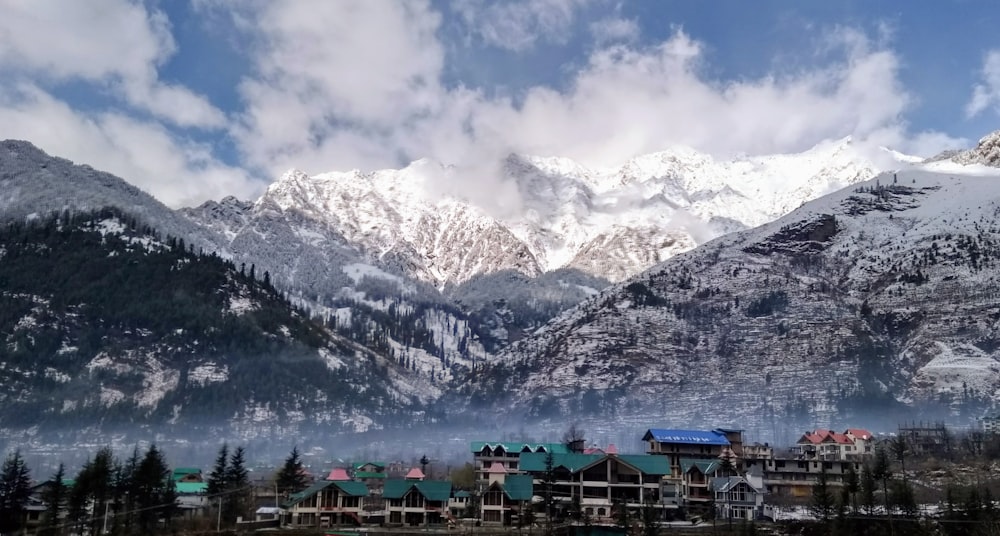 people on park near mountain during daytime