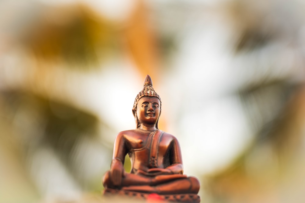 gold buddha figurine in tilt shift lens