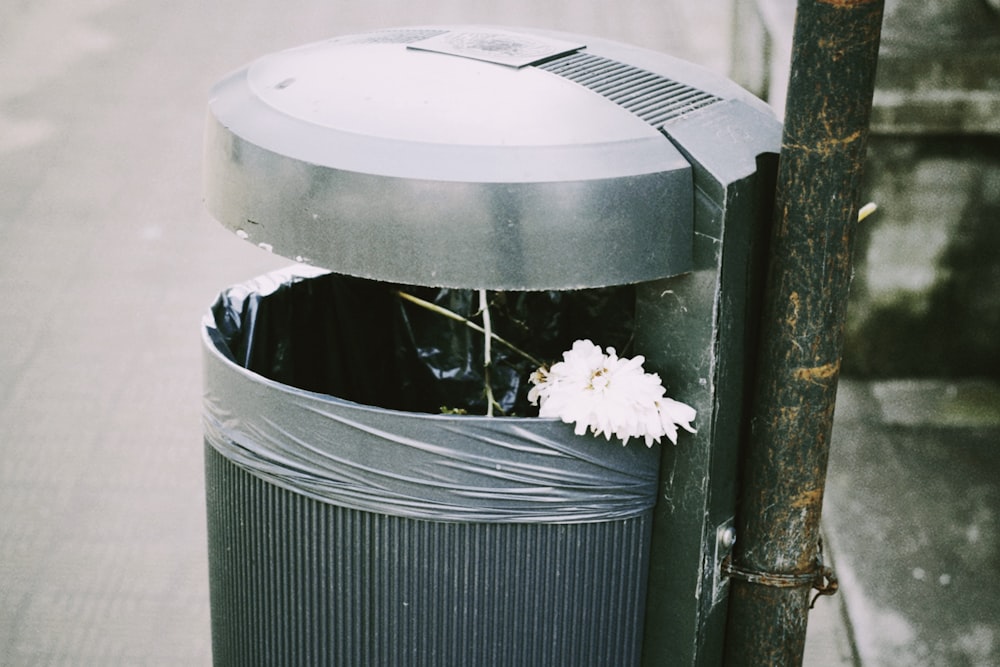 white flower on black plastic trash bin