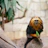 Stylized golden lion tamarin perched on a branch with glowing eyes.