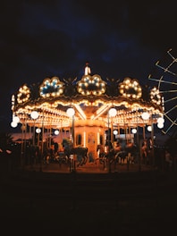 people standing near lighted carousel during night time