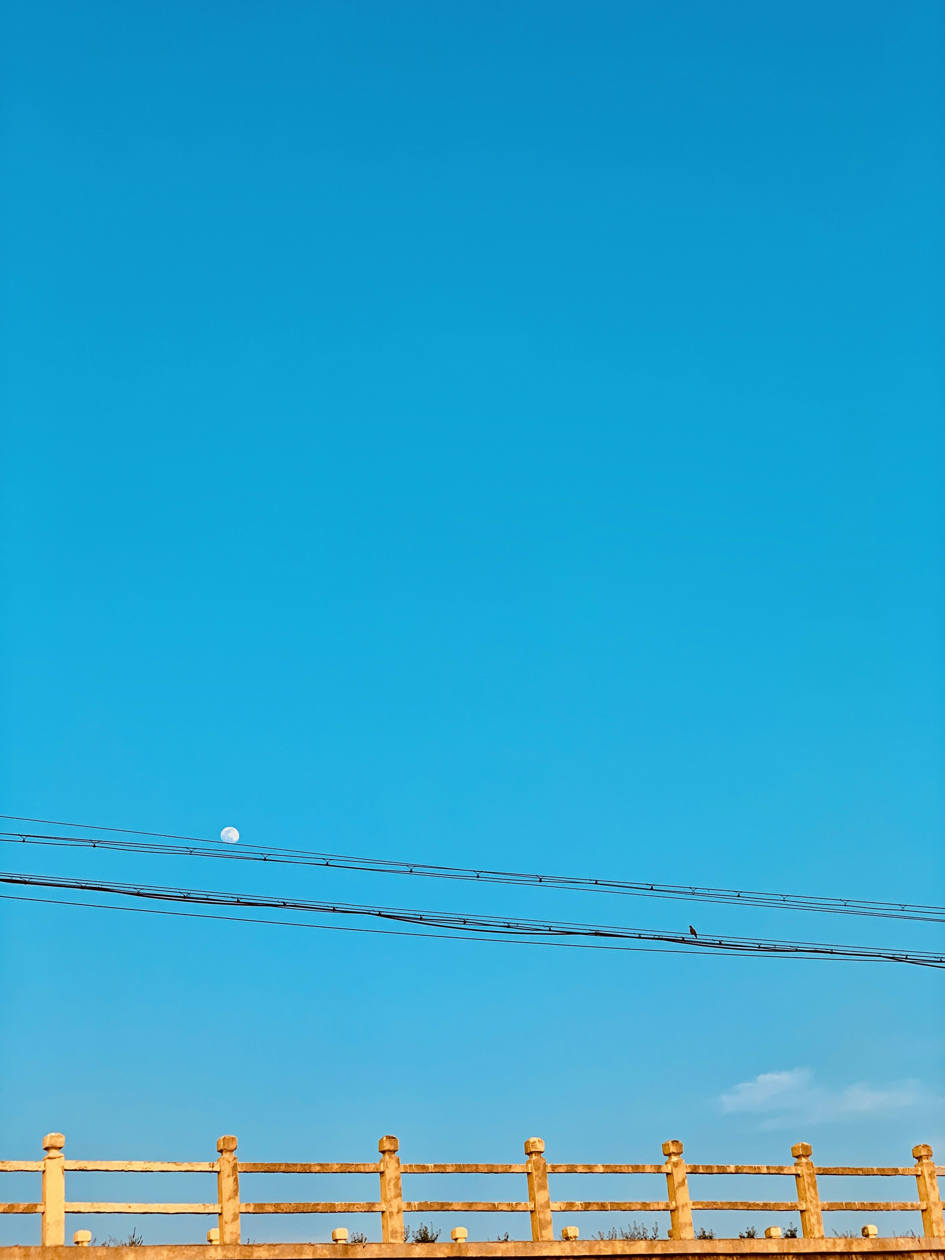 blue sky over black electric wires