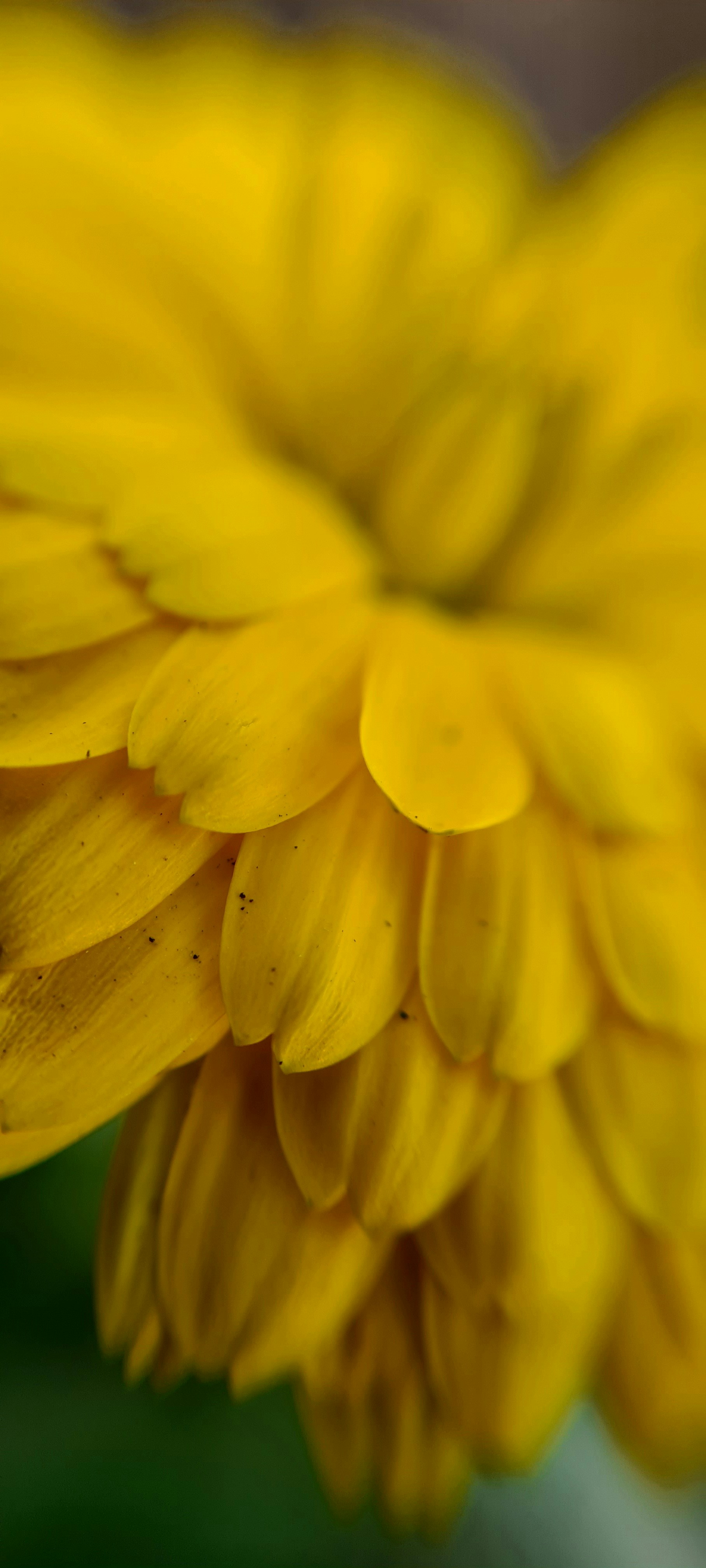 Photo by _tahir_cassim_