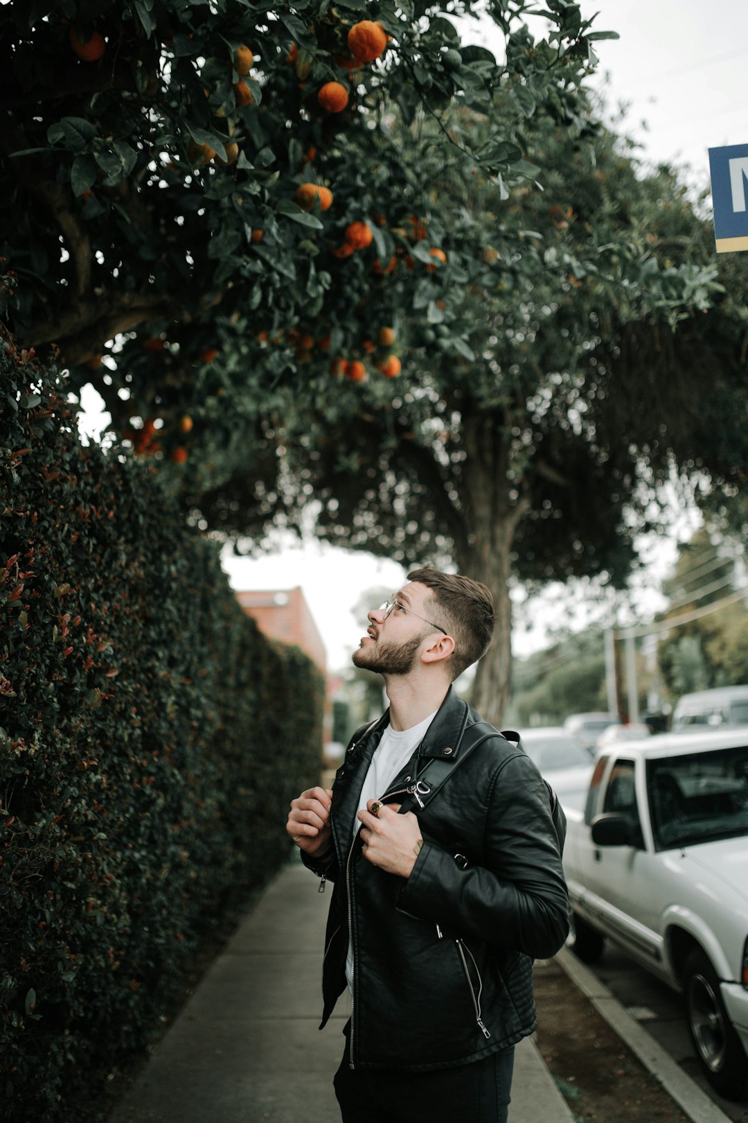 woman in black coat standing near green plant during daytime