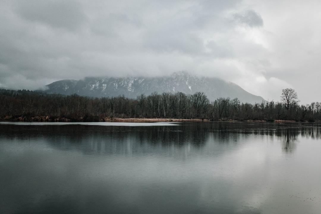 green trees near lake under white clouds