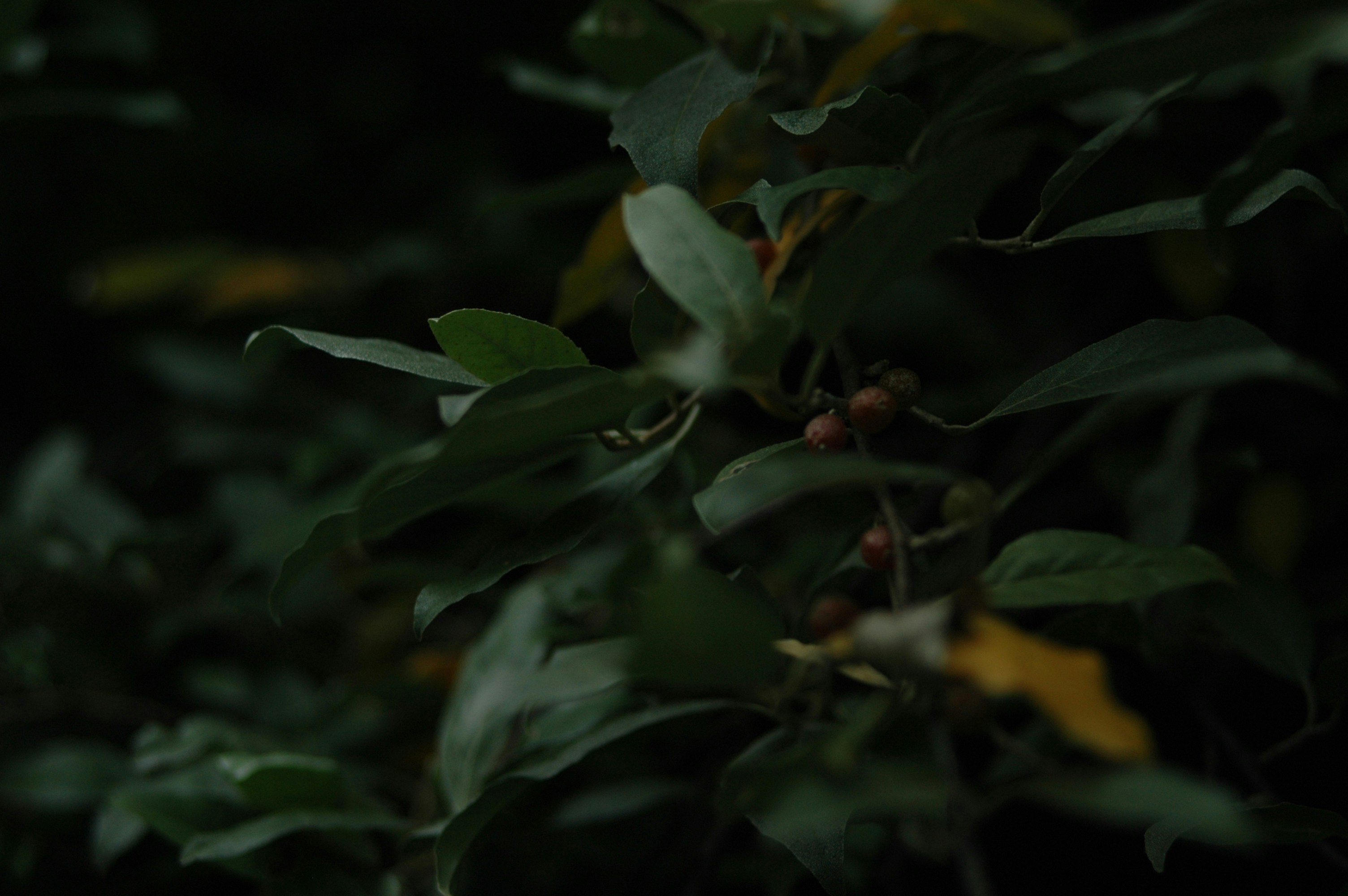 Photo by johnmathews