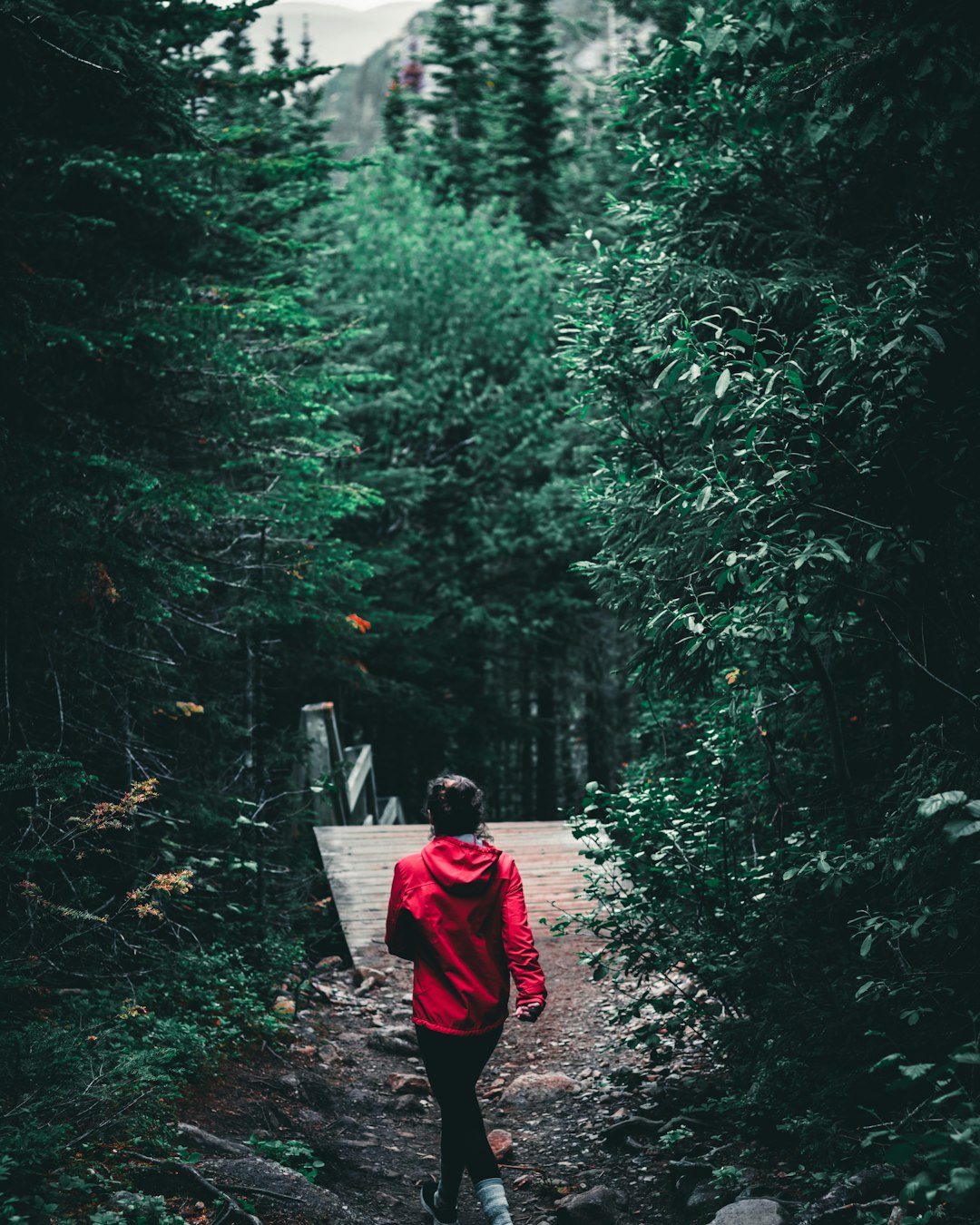 woman in red jacket walking on pathway in the middle of forest during daytime