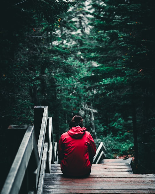 person in red hoodie sitting on brown wooden bridge in Grands-Jardins National Park Canada