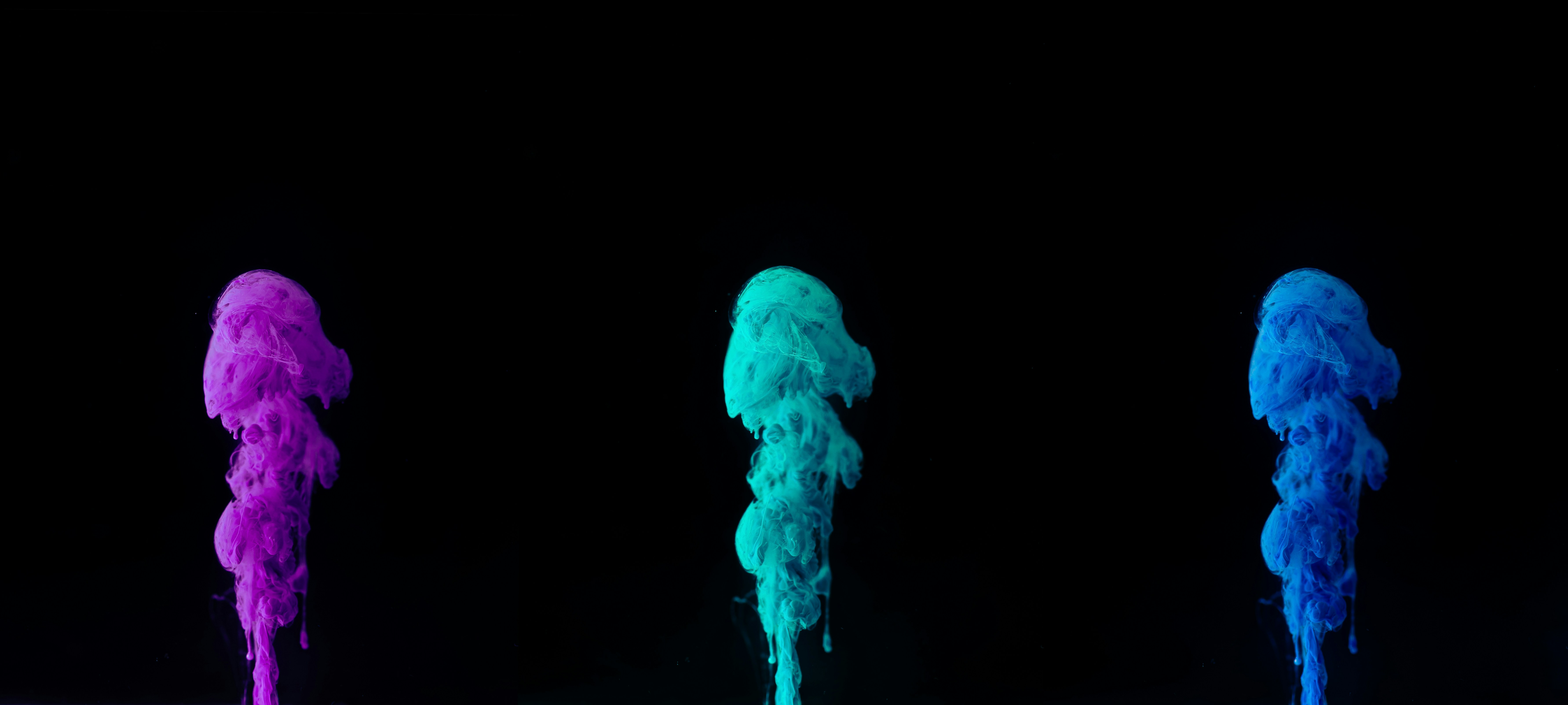 흰색 배경에 푸른 연기 사진 – Unsplash의 무료 배경화면 이미지, image size:3000x1350