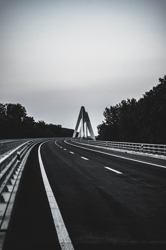 grayscale photo of road between trees in Osijek Croatia