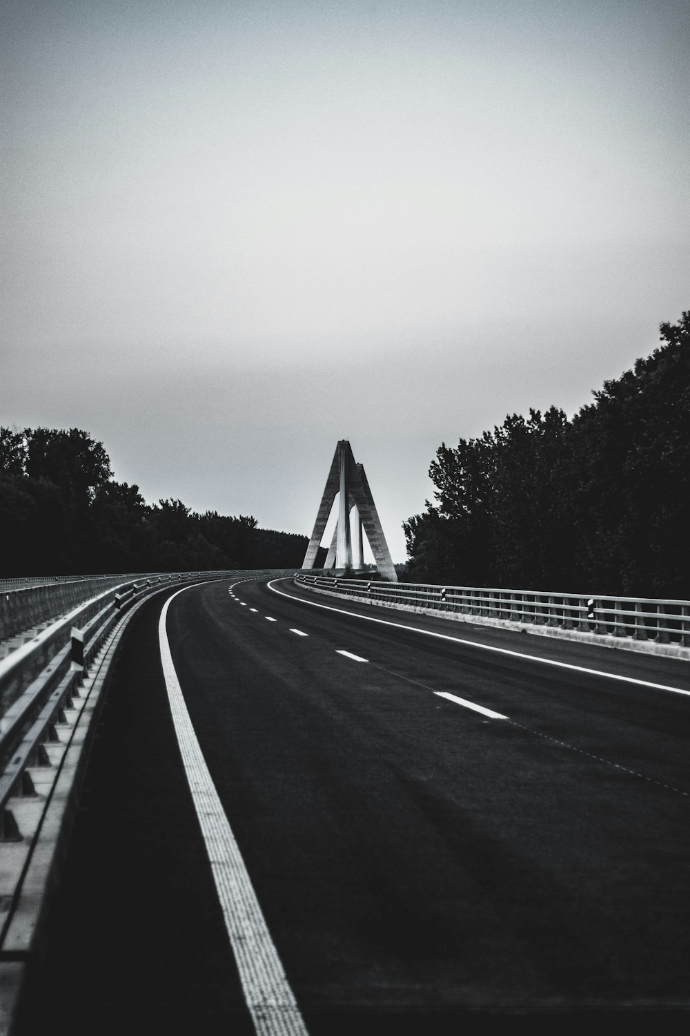 grayscale photo of road between trees