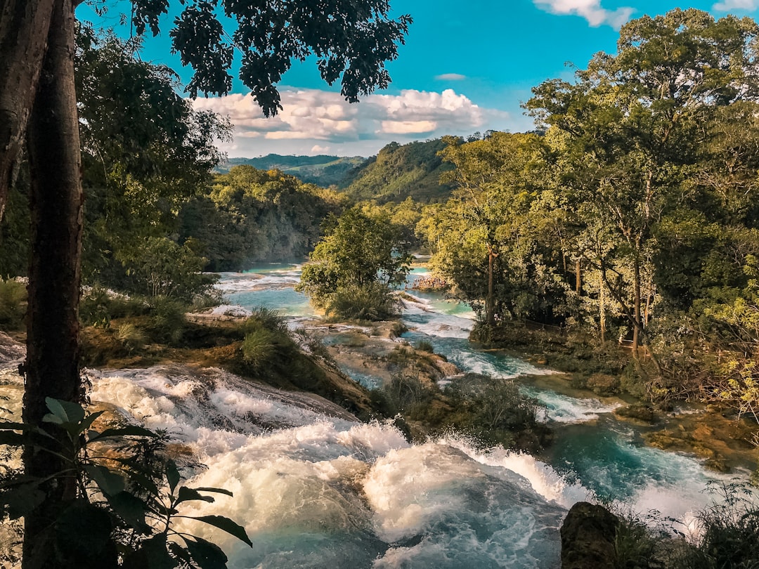 photo of Chiapas Mountain river near Zoológico Miguél Álvarez del Toro