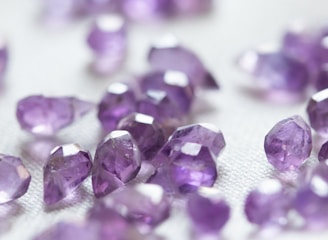 purple petals on white textile