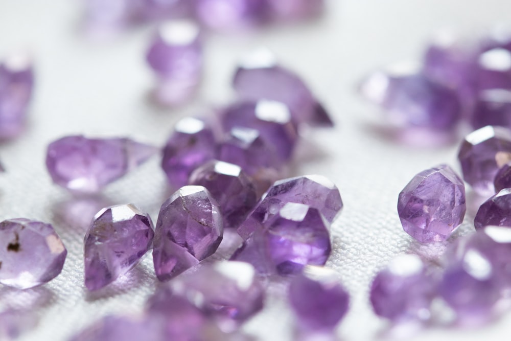 purple petals on white textile