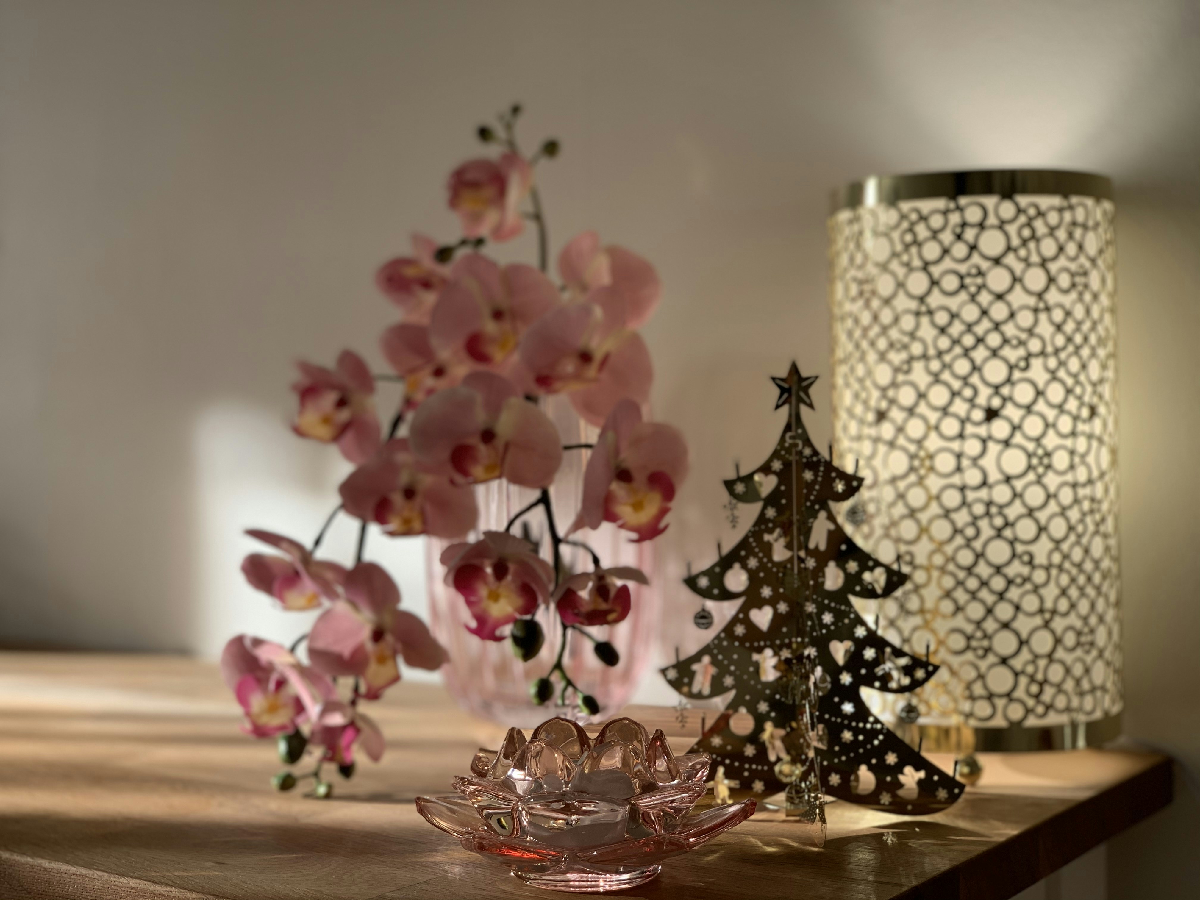 Photo by mahshidhelali