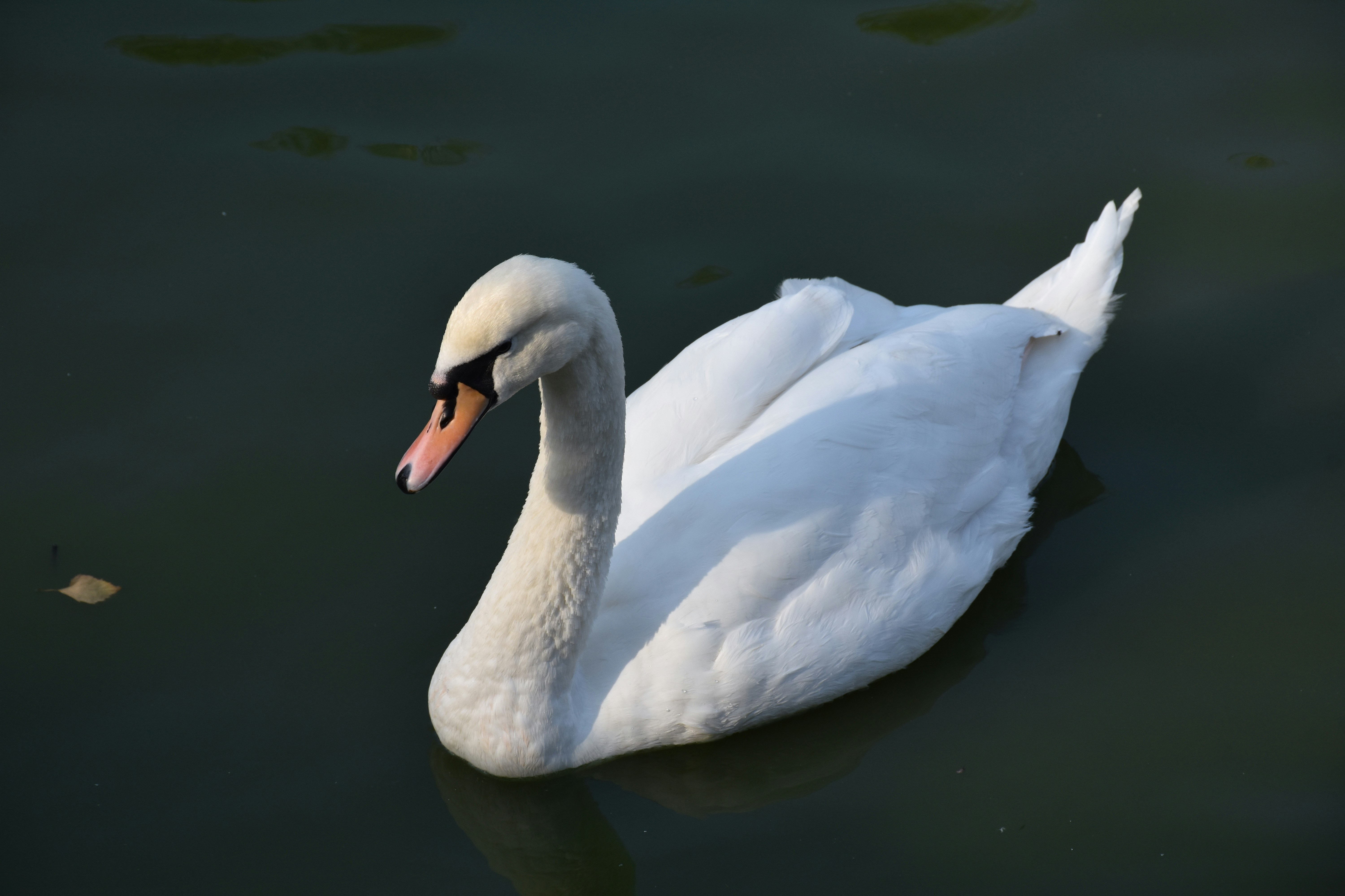 Photo by maryann_agency