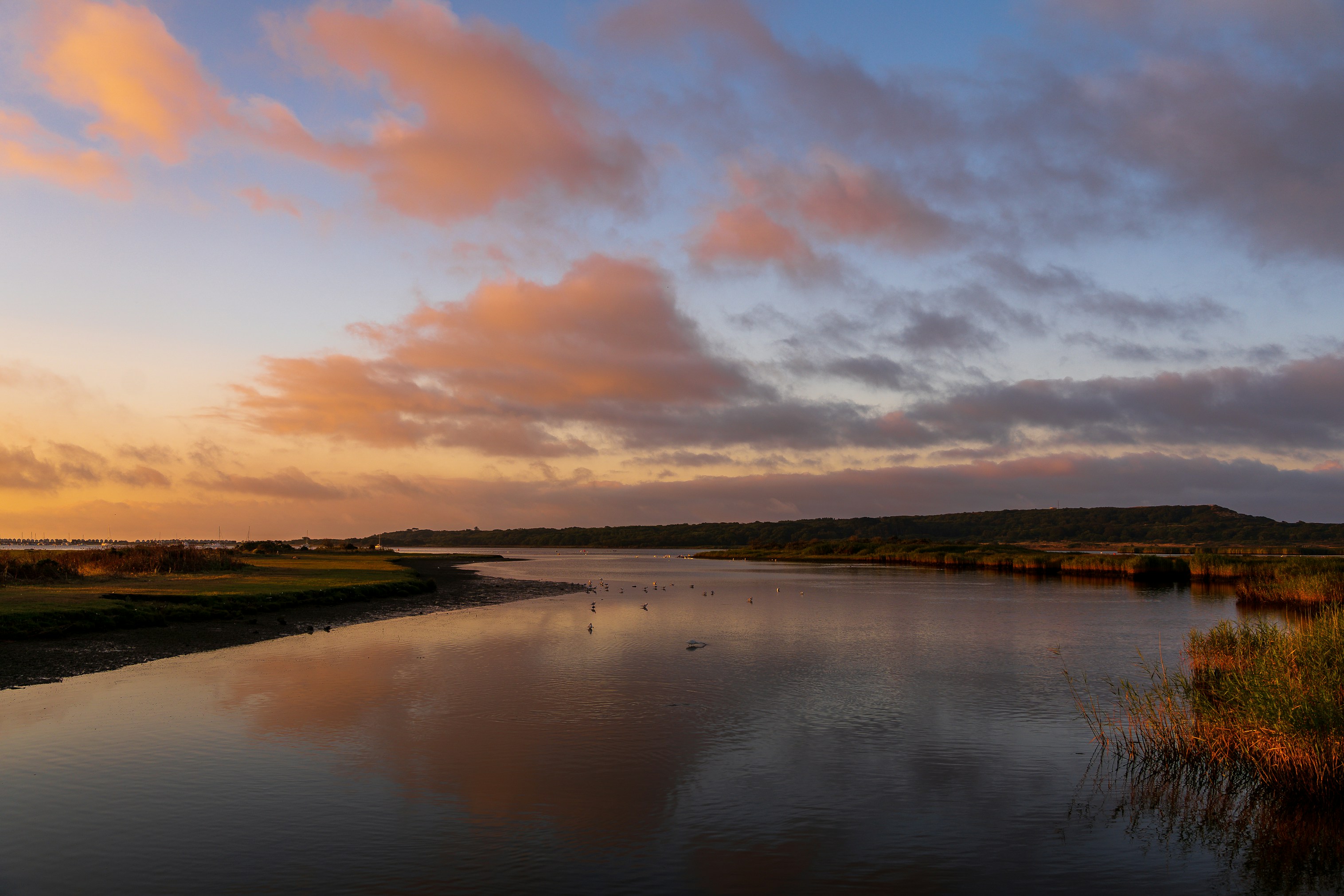 Photo by jannerboy62