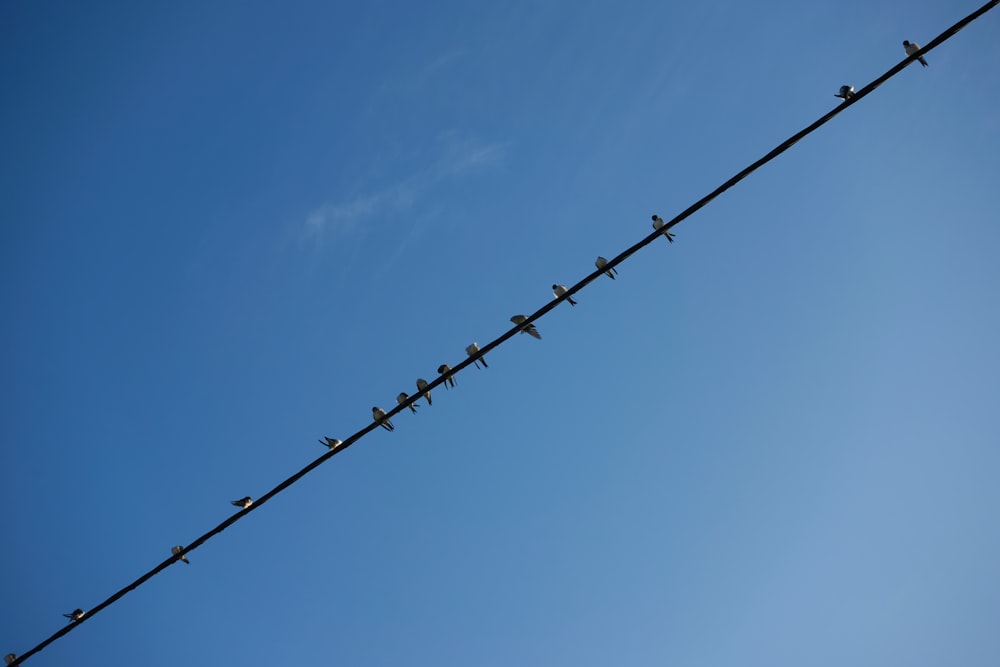 black string light under blue sky during daytime