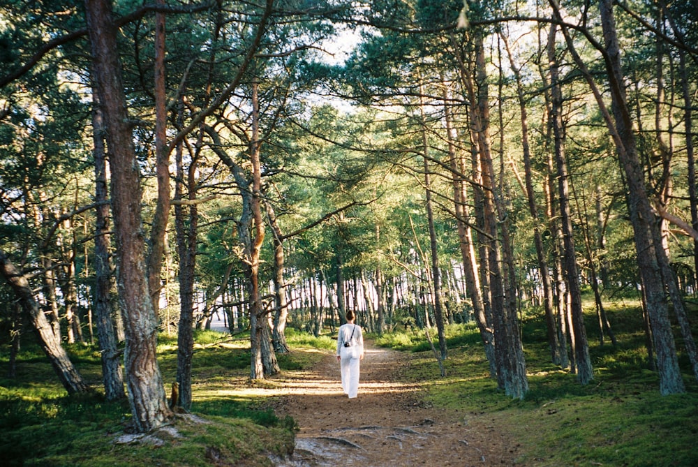 white dog on green grass field surrounded by trees during daytime