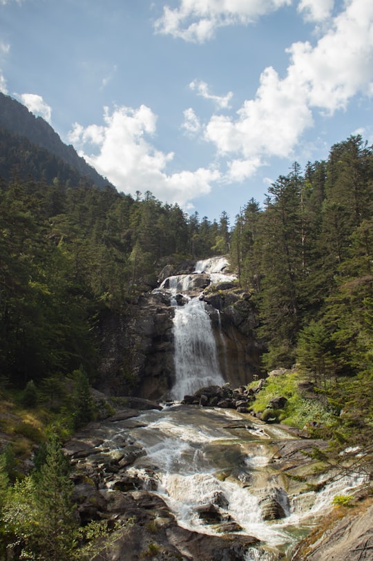 waterfalls in the middle of forest during daytime in Bosque de los Pirineos France