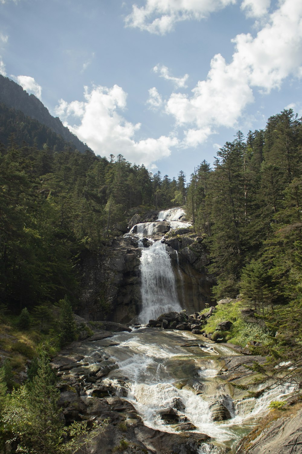 waterfalls in the middle of forest during daytime