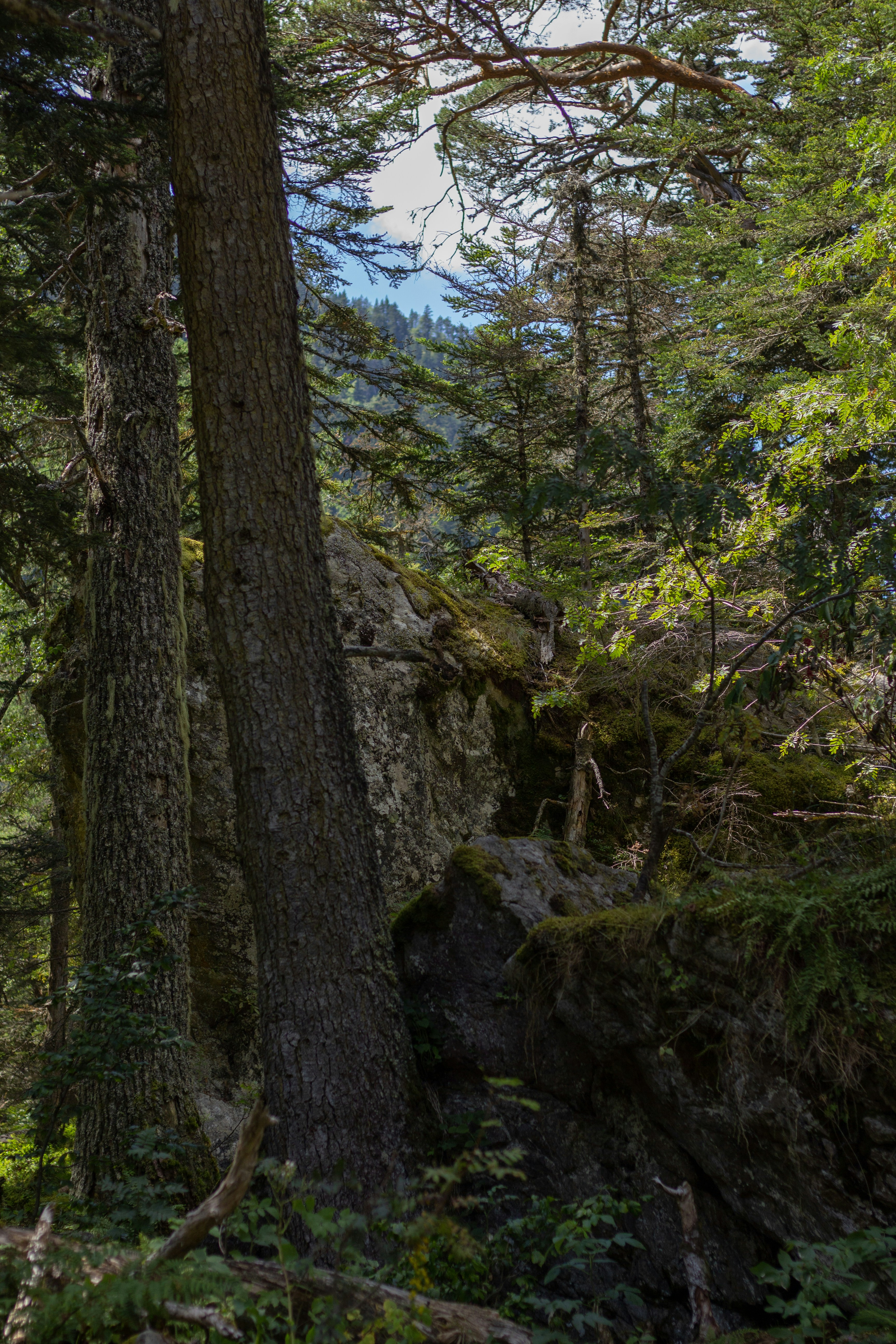 Photo by tom_bressolles