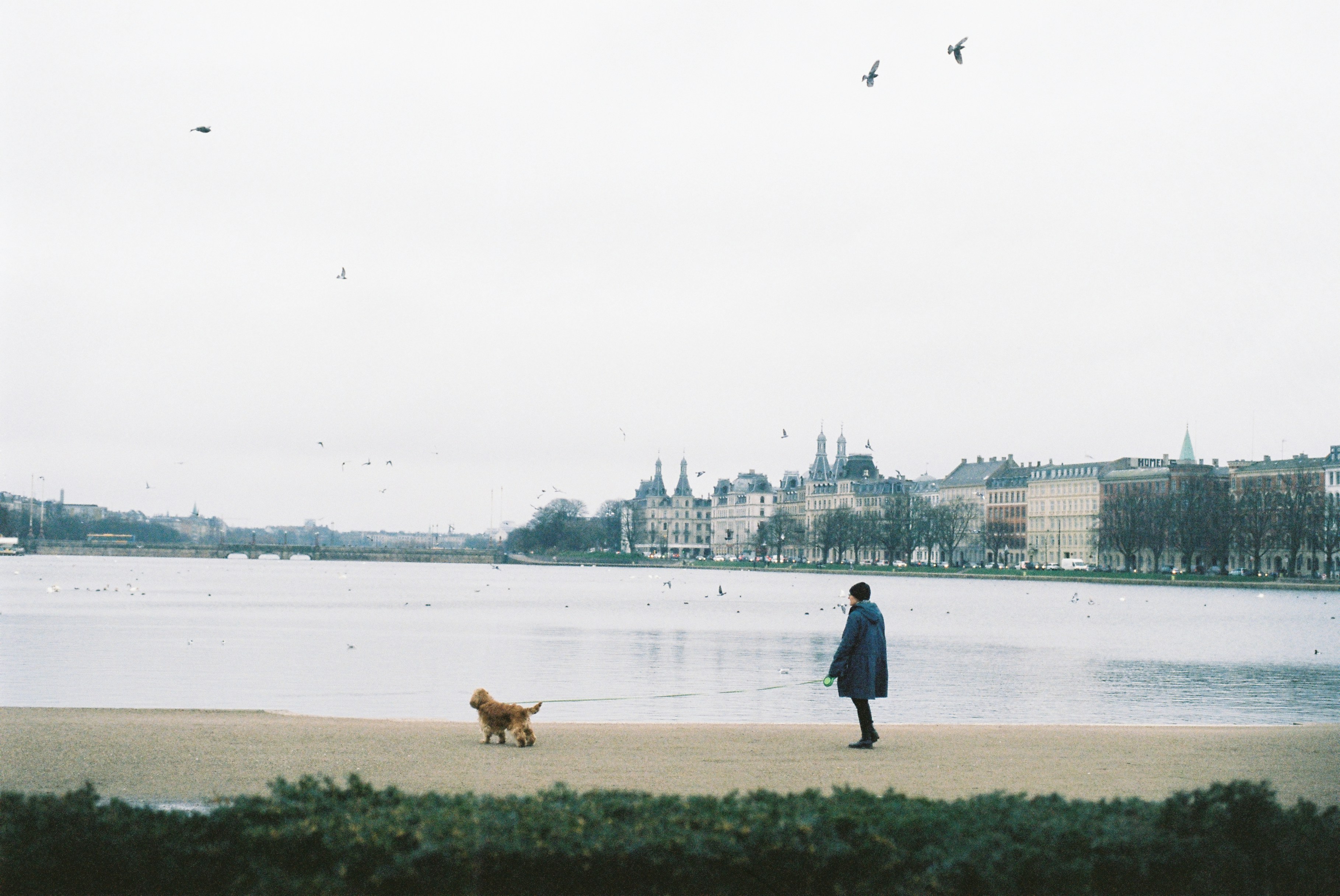 Urban Exploration Walks (image credits: unsplash)