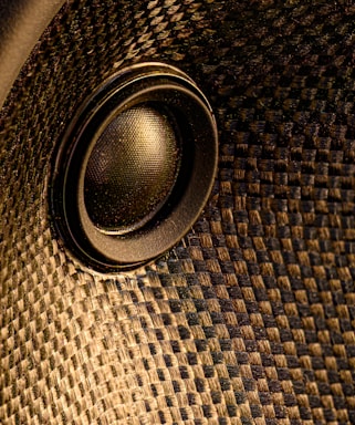 black and brown round speaker