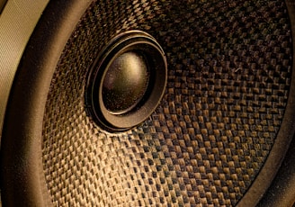 black and brown round audio speaker