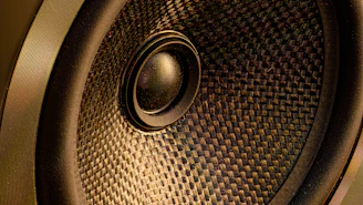 black and brown round speaker