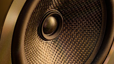black and brown round audio speaker