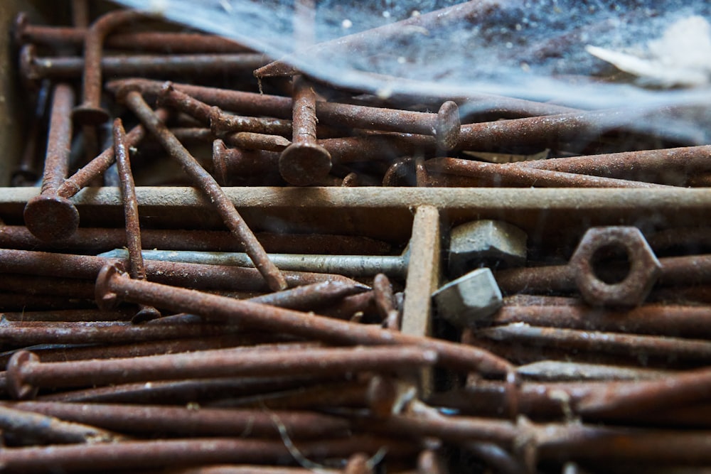 brown wooden sticks on white snow