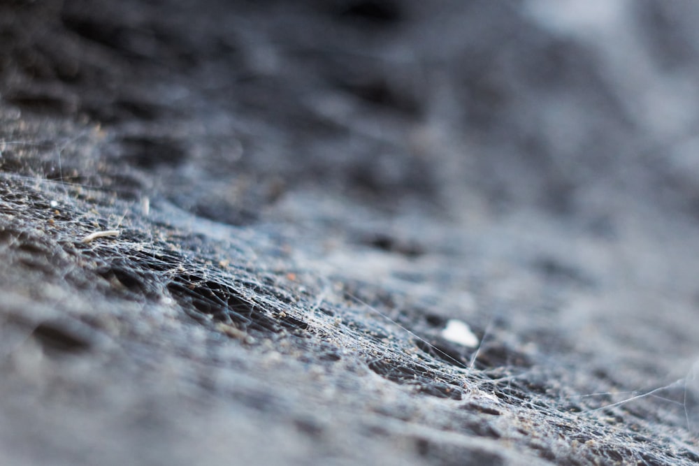 water droplets on gray surface