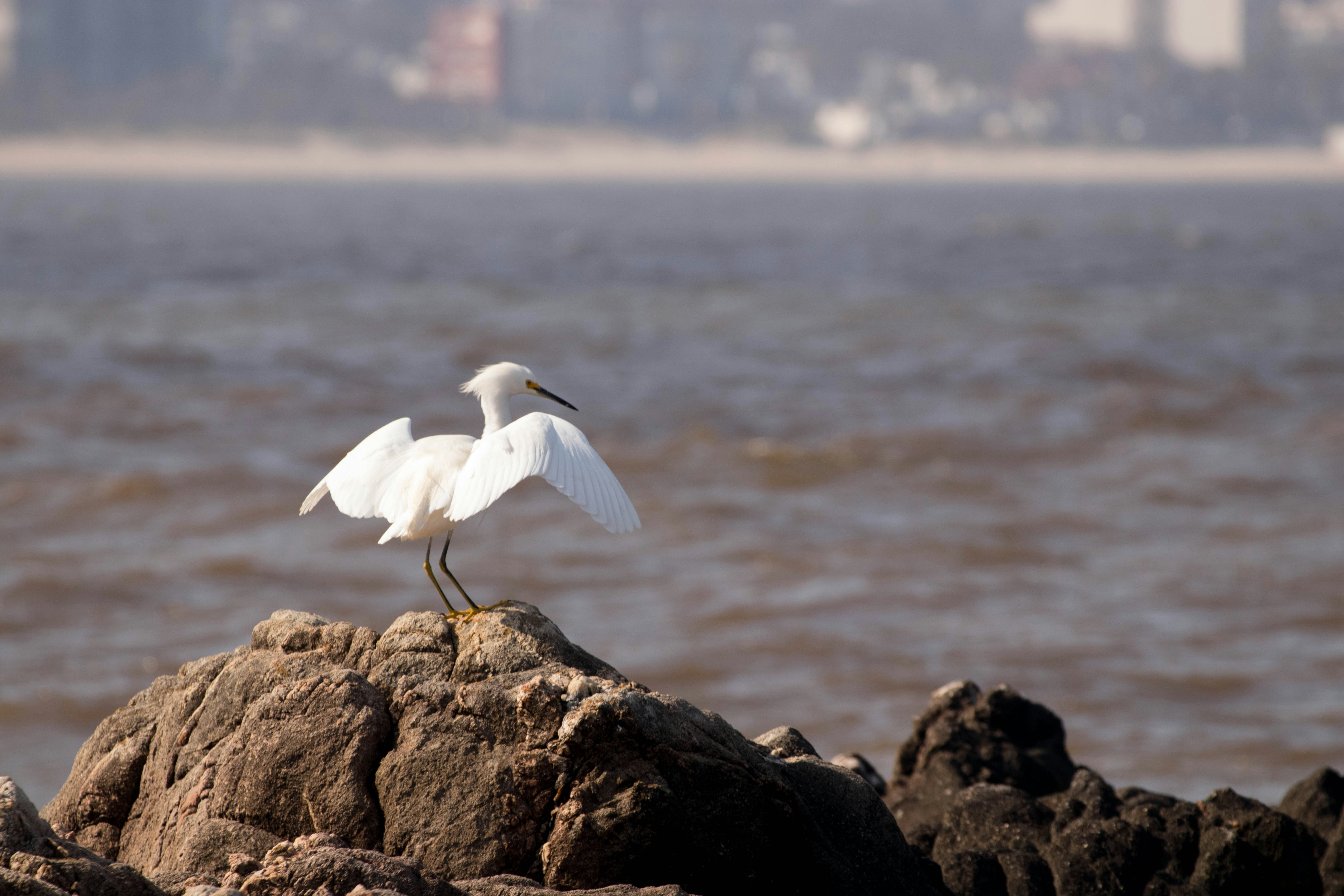 Photo by sonianadales