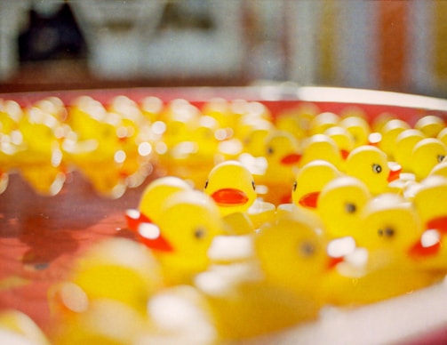 A collection of yellow rubber ducks is floating in water. The ducks are primarily yellow with orange beaks. The image is brightly lit, with some areas in the background being out of focus, creating a dreamy, bokeh effect.