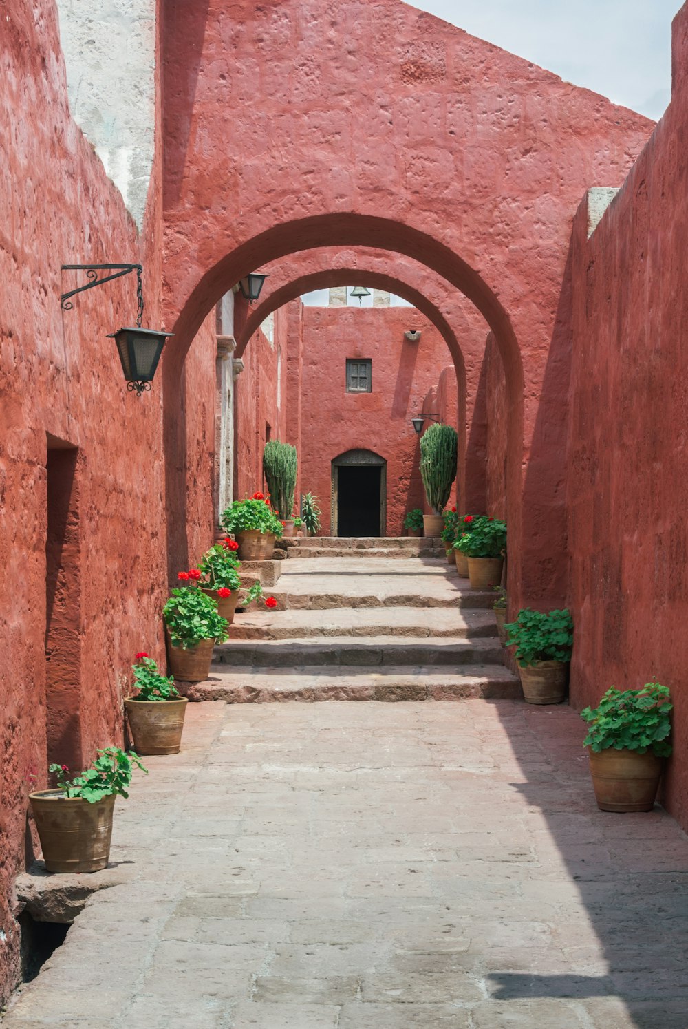 Escaleras de hormigón marrón con plantas verdes