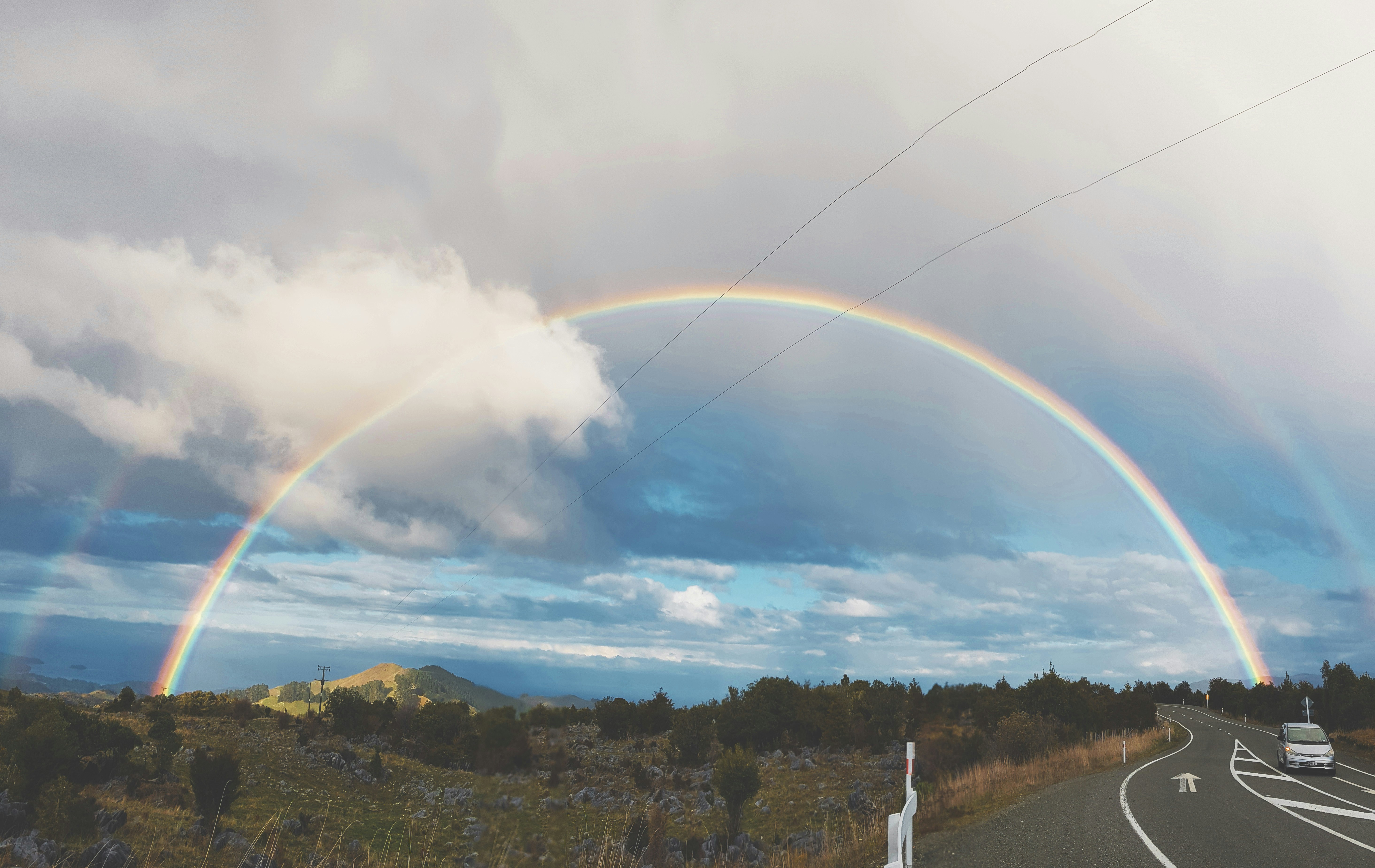 green trees under white clouds and blue sky during daytime