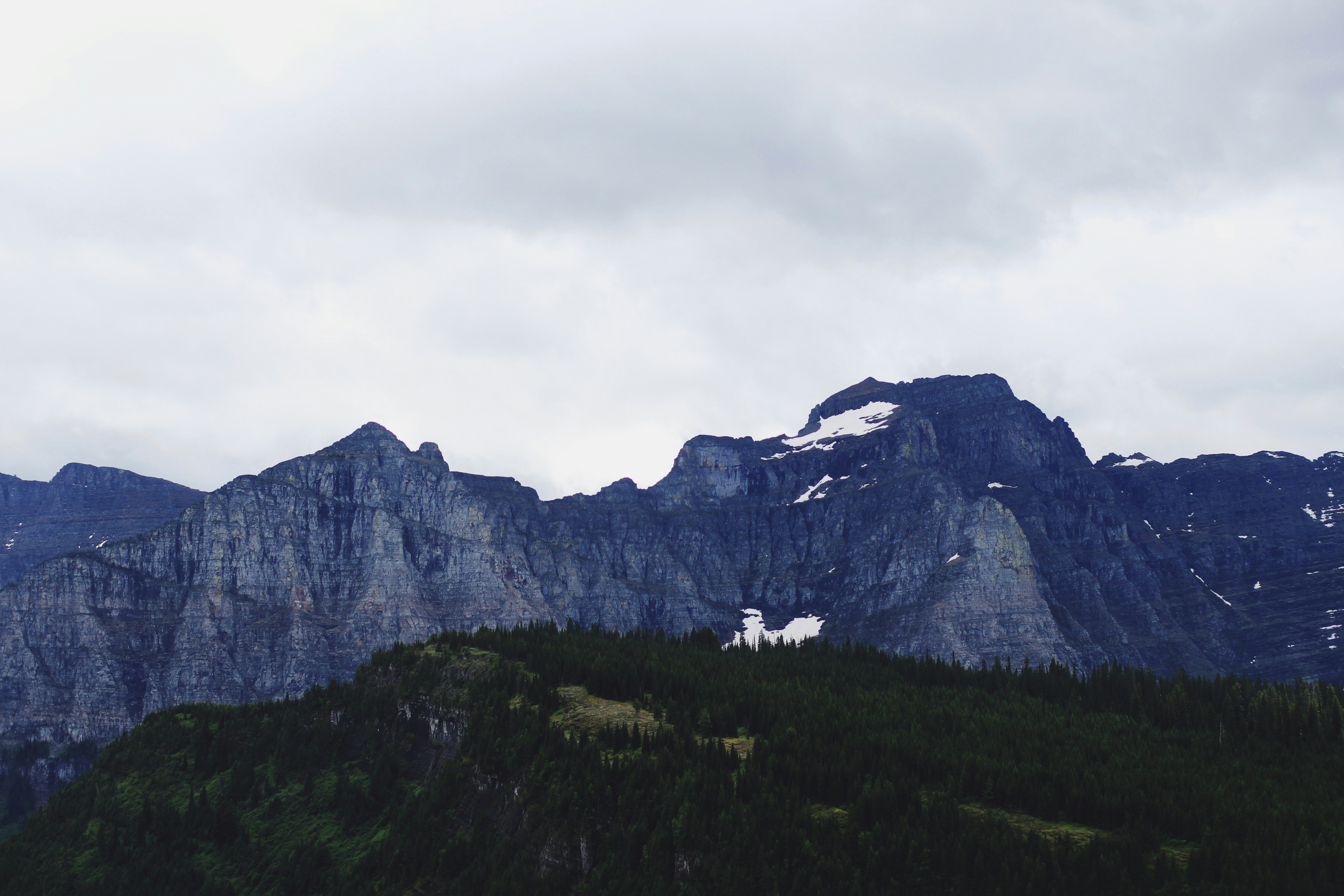 Photo by meghanschiereck