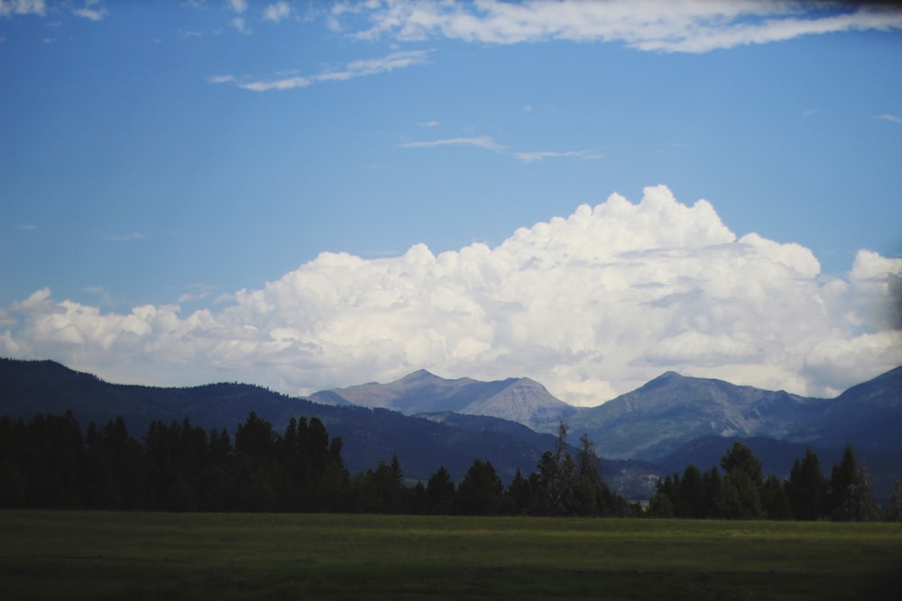 green trees and mountains under blue sky and white clouds during daytime