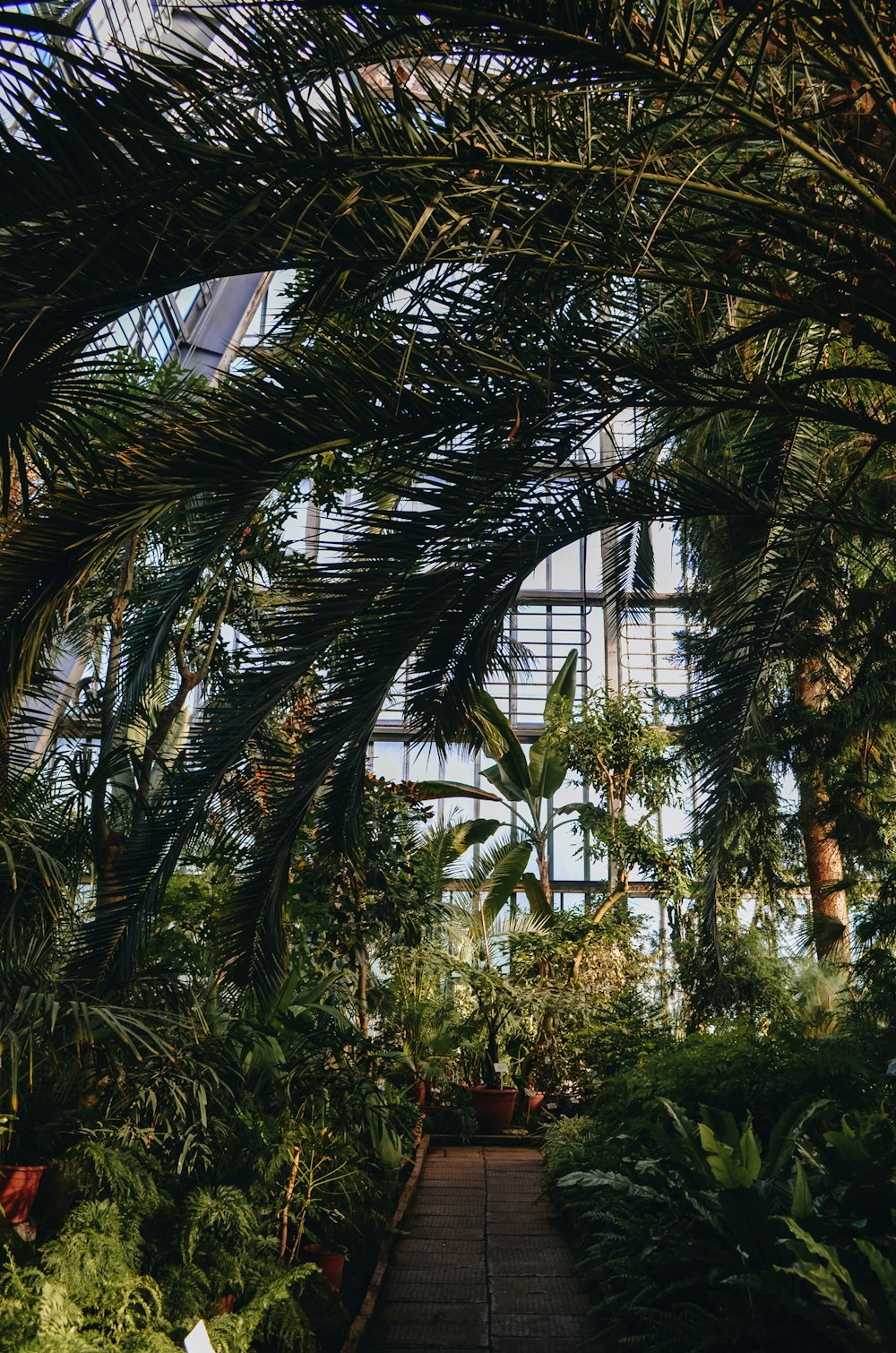 green palm tree during daytime