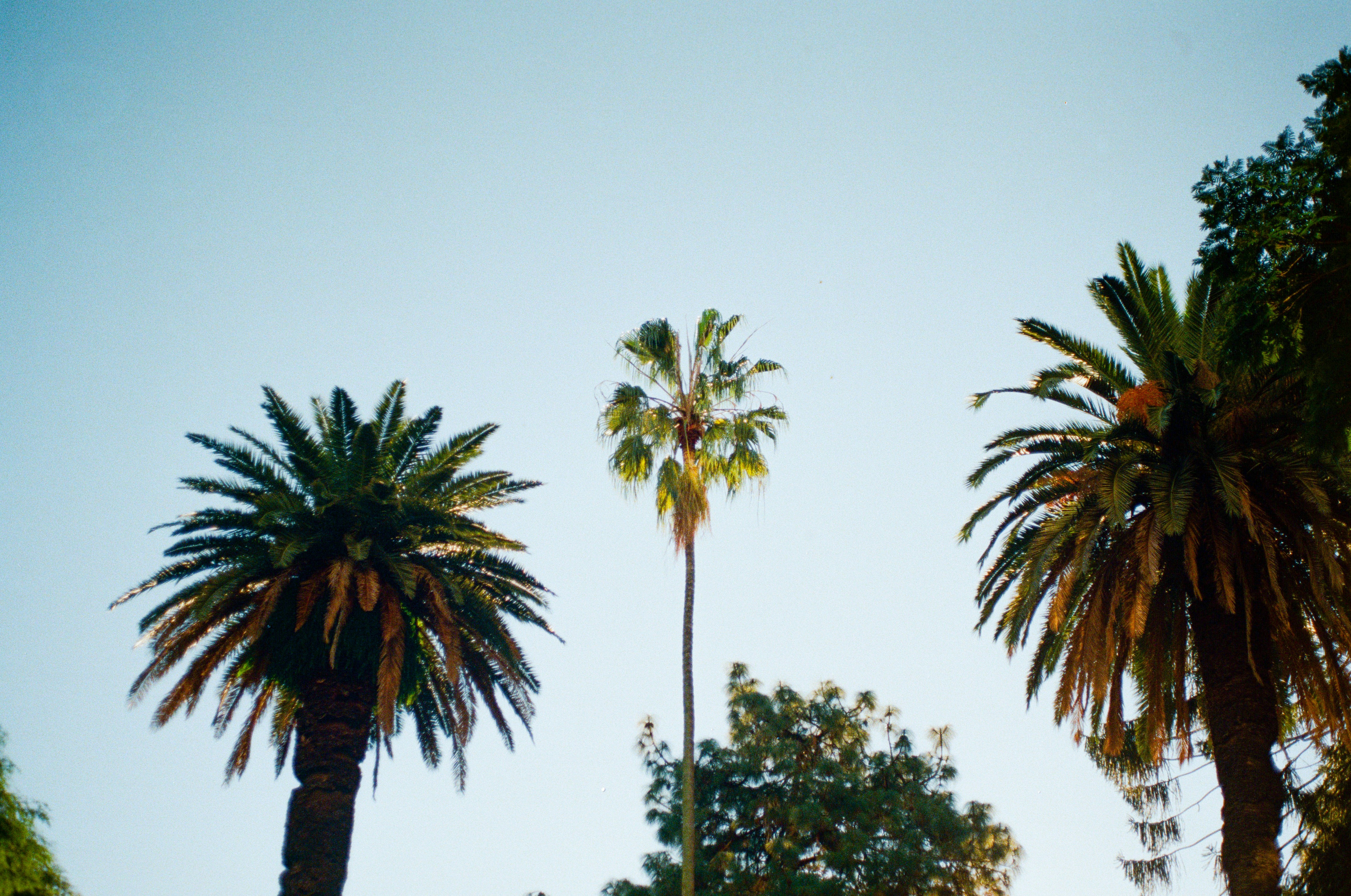 The Quarry at La Quinta