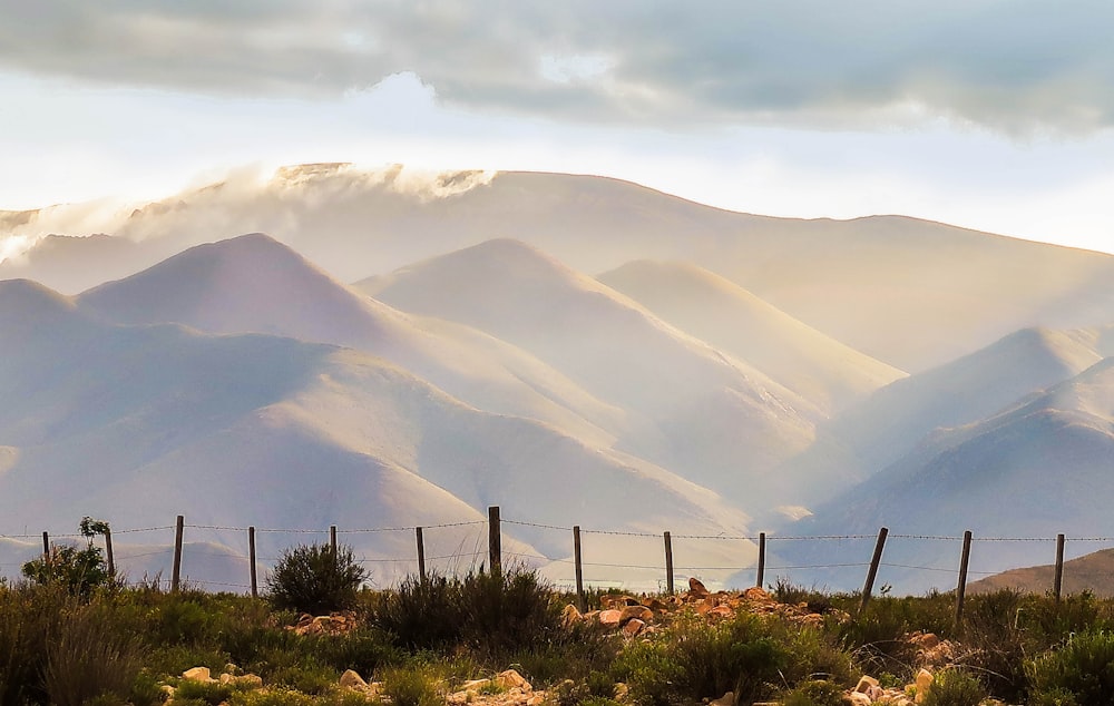 Campo de hierba verde cerca de la montaña durante el día