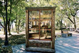 An ornate wooden cabinet is placed outdoors, resembling a public bookshelf, and is filled with various books. The cabinet features intricate carvings and appears to stand on a paved path in a park setting. Surrounding it are green trees, park benches, and a lamp post, creating a peaceful and inviting atmosphere.